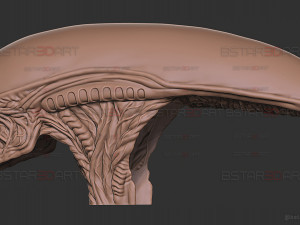 Alien Xenomorph Mask Decor Wearable 3D 打印模型