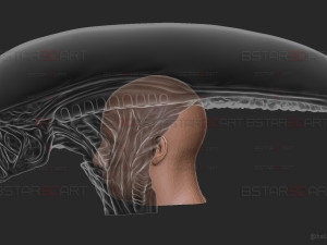 Alien Xenomorph Mask Decor Wearable 3D 打印模型