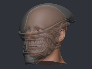 Alien Xenomorph Mask Cosplay 3D Baskı Modeli