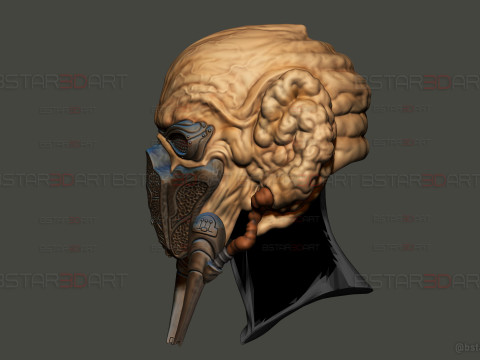 Plo Koon Jedi High Quality Mask - Star Wars Cosplay Modello di stampa 3D