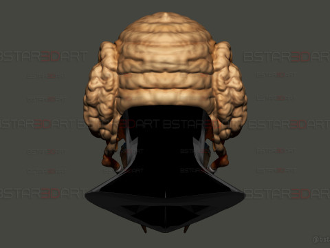 Plo Koon Jedi High Quality Mask - Star Wars Cosplay Modello di stampa 3D