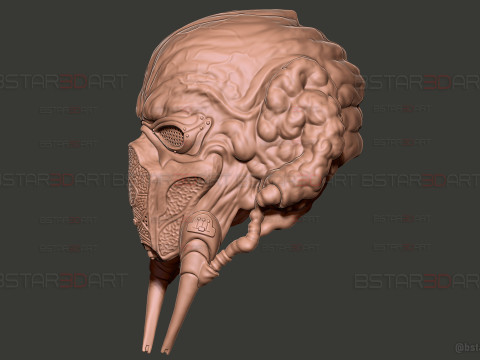Plo Koon Jedi High Quality Mask - Star Wars Cosplay Modello di stampa 3D