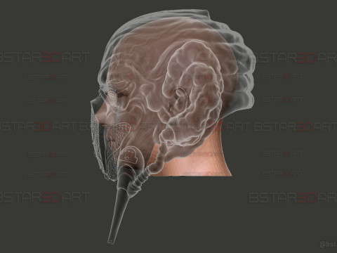 Plo Koon Jedi High Quality Mask - Star Wars Cosplay Modello di stampa 3D