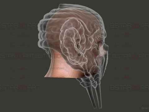 Plo Koon Jedi High Quality Mask - Star Wars Cosplay Modello di stampa 3D