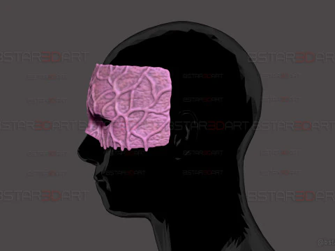 Kagaya Ubuyashiki Mask - Demon Slayer Cosplay 3D Print Model