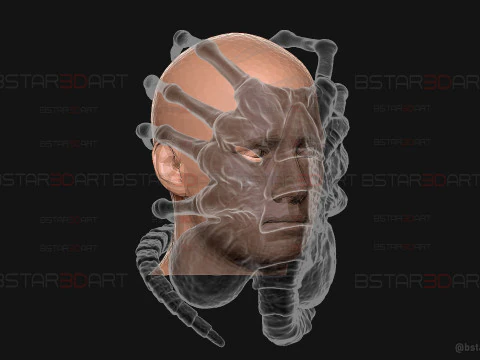 Alien Romulus Facehugger High Quality Mask 3D Print Model