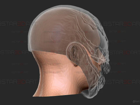 Venom Helmet Moveable - Marvel Movie 2024 3D Print Model