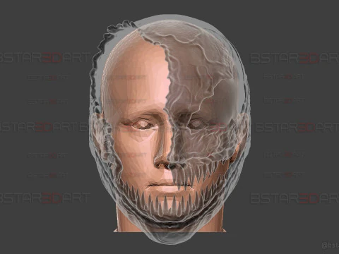 Venom Helmet Damaged Moveable - Marvel Movie 2024 3D Print Model