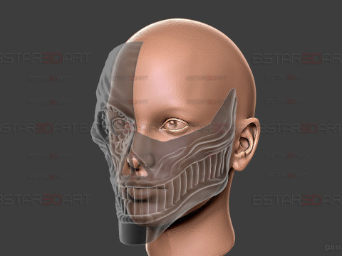 Dandadan Aira Shiratori Damaged Mask V2 - Acrobatic Silky mask 3Dプリントモデル