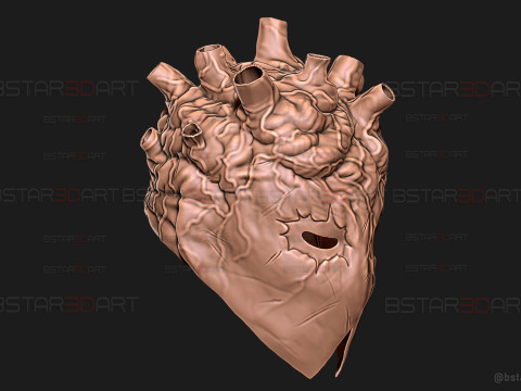 Shin Mask High Quality - Dorohedoro Anime Cosplay 3D 프린트 모델