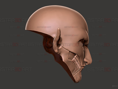 Eren Final Form Head Decoration Wearable - Attack On Titan Cosplay 3D Baskı Modeli