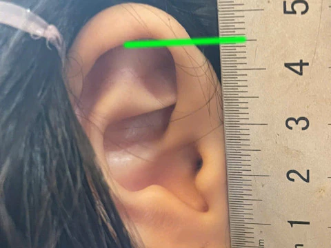 Elf Ear Wearable - Esil Ear Cosplay - Solo Leveling Anime 3D Print Model