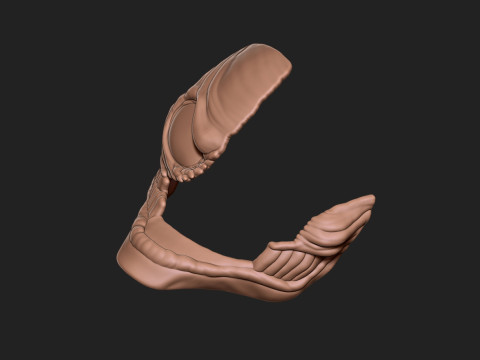 Labubu Accessories - Aira Shiratori Mask - Dandadan - costume for Halloween Modello di stampa 3D