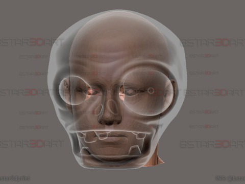 Zombie Plant Head Decoration Wearable - Plants vs Zombies cosplay 3D Print Model