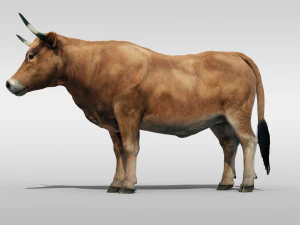Realistic Cattle Steer Cow Bull Rigged Animation 3D Model
