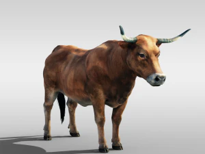 Realistic Cattle Steer Cow Bull Rigged Animation 3D Model