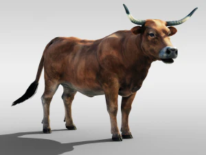 Realistic Cattle Steer Cow Bull Rigged Animation 3D Model