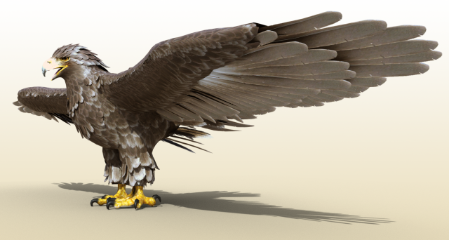 Golden Eagle Realistic Rigged 3D Model .c4d .max .obj .3ds .fbx .stl .blend 