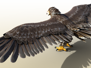 Golden Eagle Realistic Rigged 3D Model