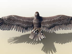 Golden Eagle Realistic Rigged 3D Model