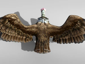 Realistic Vulture Bird rigged 3D Model