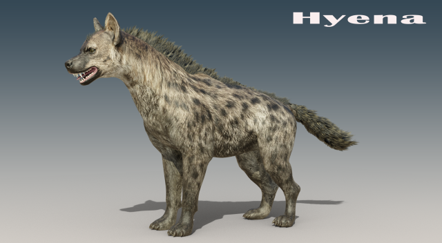 Hyena Rigged Low-poly 3D Модель .c4d .max .obj .3ds .fbx .stl .blend 