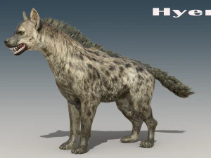 Hy&egrave;ne Rigged Low-poly Modèle 3D