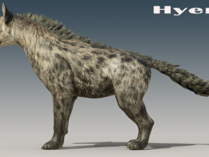 Hyena Rigged Low-poly 3D Модель