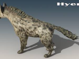 Hyena Rigged Low-poly 3D Модель