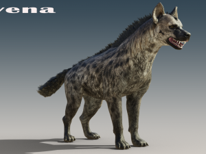 Hyena Rigged Low-poly 3D Модель
