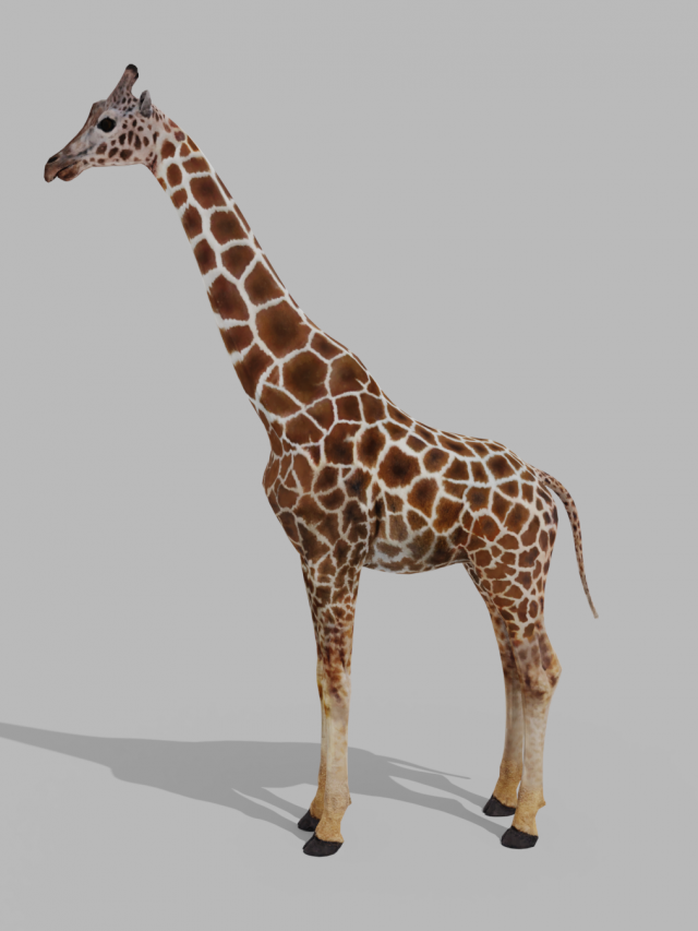 Giraffe Rigged Low Poly Modelo 3D .c4d .max .obj .3ds .fbx .stl .blend 