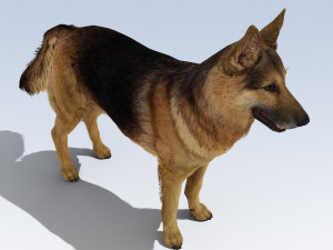 German Shepherd Dog Rig Modelo 3D