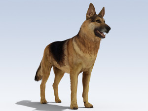 German Shepherd Dog Rig Modelo 3D