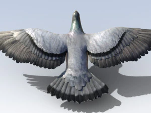 Pigeon Bird Rigged 3D Model