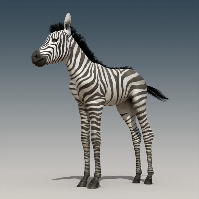 Baby Zebra Foals Rigged Modelo 3D .c4d .max .obj .3ds .fbx .stl .blend 