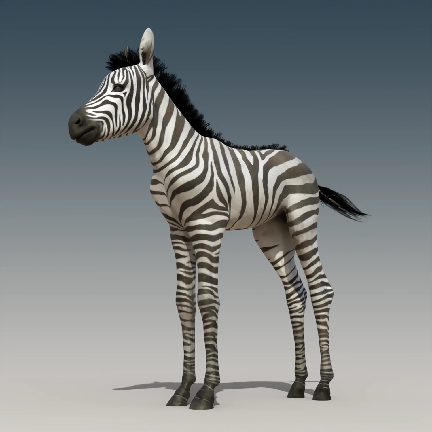 Baby Zebra Foals Rigged 3D Model .c4d .max .obj .3ds .fbx .stl .blend 