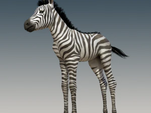 斑马宝宝已装配好 3D 模型