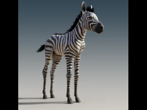 Baby Zebra Foals Rigged 3D Model