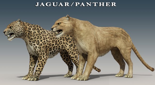 Jaguar and Panther Rigged Model 3D .c4d .max .obj .3ds .fbx .stl .blend 