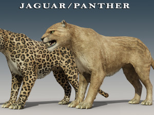 Jaguar and Panther Rigged 3D 모델