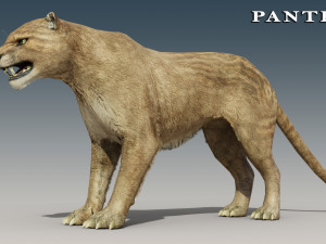 Jaguar and Panther Rigged Model 3D