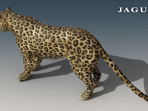 Jaguar and Panther Rigged 3D Model