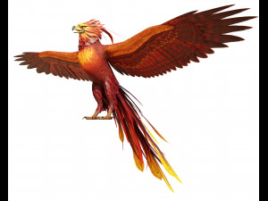 Phoenix Bird Rigged 3D Model