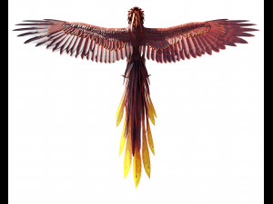 Phoenix Bird Rigged 3D Модель