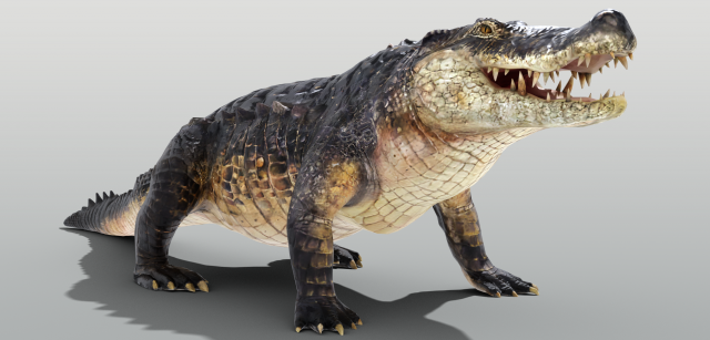 Realistic Crocodile Rigged Model 3D .c4d .max .obj .3ds .fbx .stl .blend 