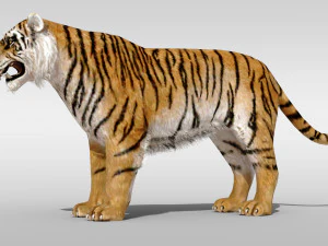 K&uuml;rkl&uuml; kaplan ve Armalı 3D Model