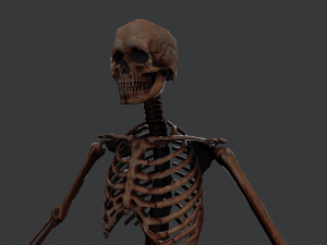 skeleton warrior2 Model 3D