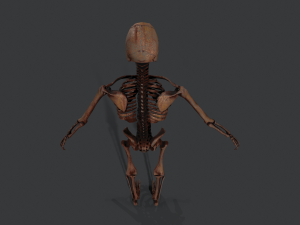 skeleton warrior2 Model 3D