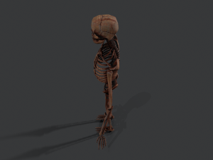 skeleton warrior2 Model 3D