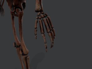 skeleton warrior2 Model 3D